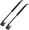 Landcruiser 80 Bonnet Strut - Pair